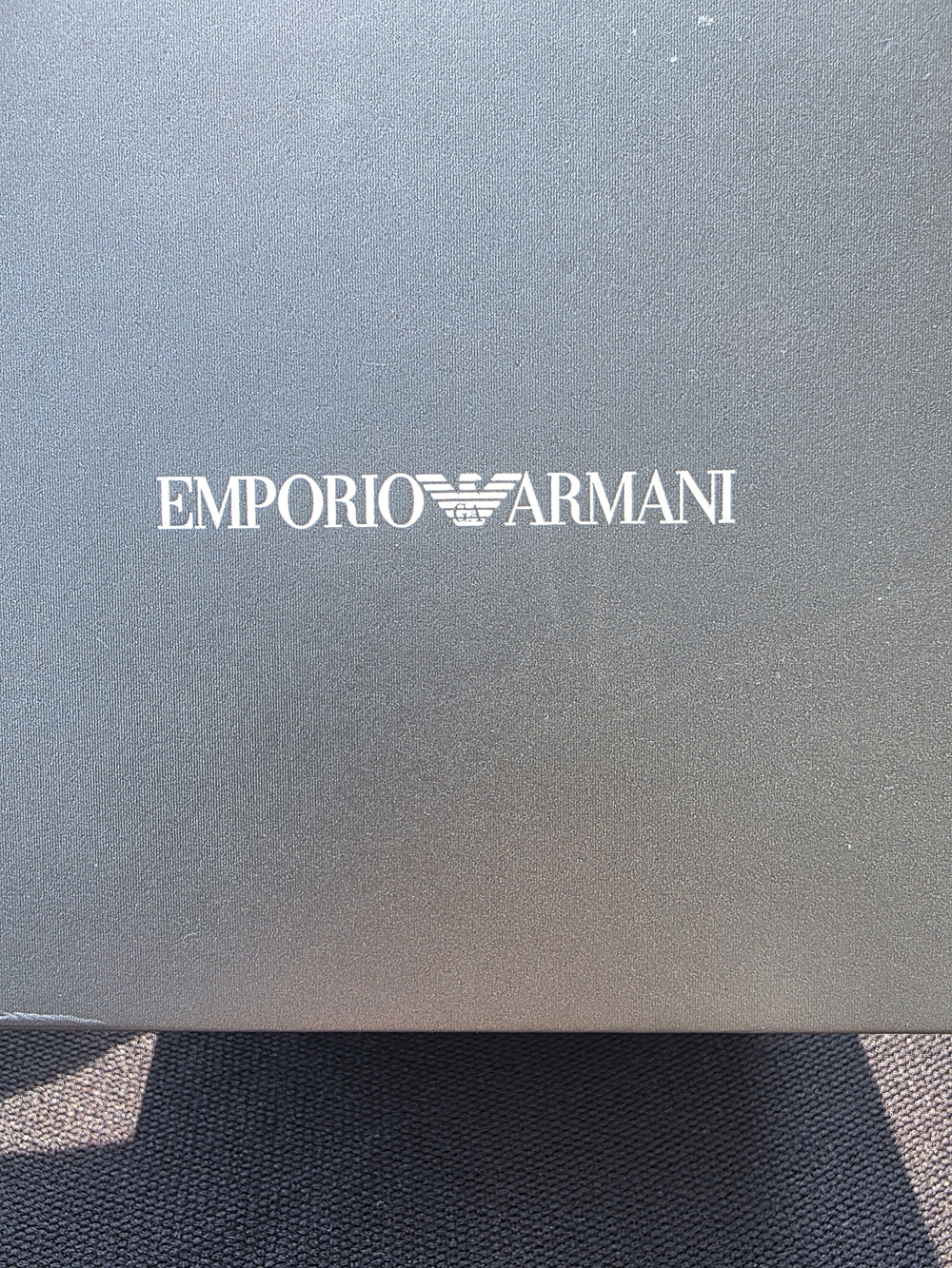 Emporio Armani Silver Stainless Mesh Chronograph Watch (Rear View)
